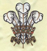 Embroidery Digitizing